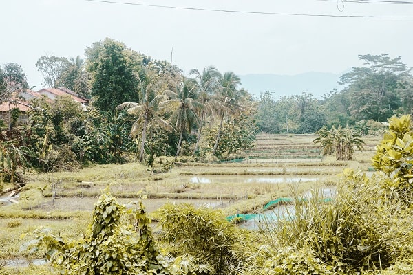 panorama-kemang-12-min.jpg